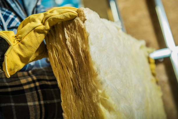 Best Cellulose Insulation in Eaton Rapids, MI