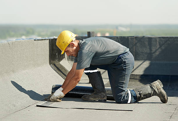 Best Insulation Maintenance and Repair in Eaton Rapids, MI