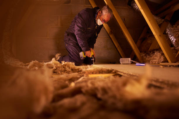 Best Residential Insulation in Eaton Rapids, MI